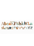 110704-pirate-decal