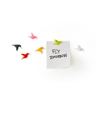 110905-hummingbird-magnets-2