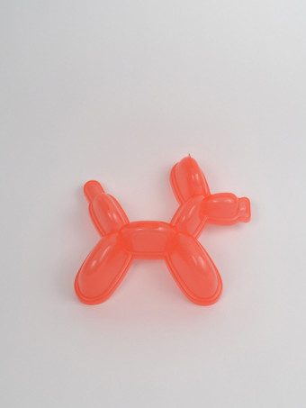 500301-party-pooch