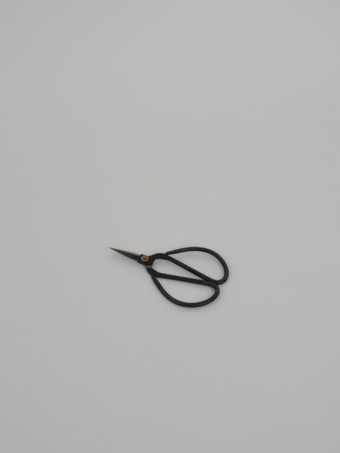 920201-herb-scissors