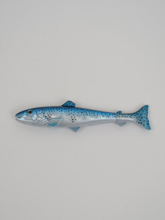 120301-blue-trout-pen