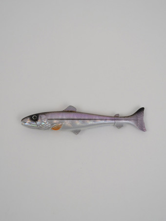 120303-purple-trout-pen