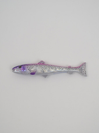 120305-silver-trout-pen