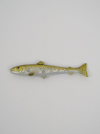 120306-gold-trout-pen