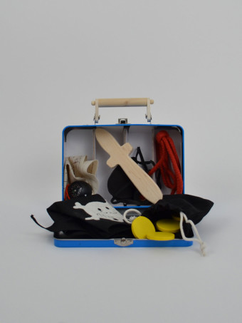 250203-pirate-case-2